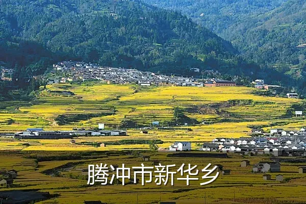 腾冲市新华乡